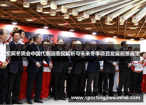 索契冬奥会中国代表团表现解析与未来冬季项目发展前景展望